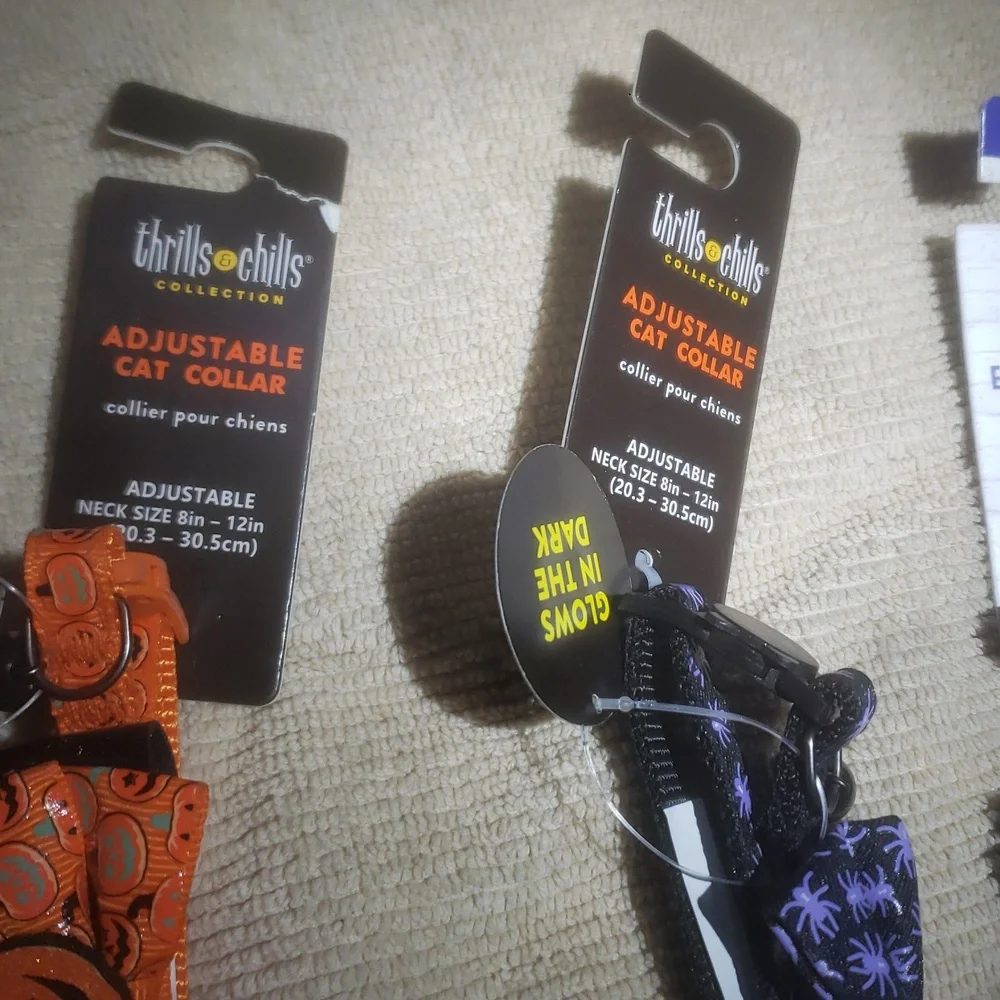 Vibrant Orange and Black Dog Accessories